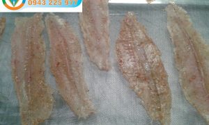 Máy sấy hải sản-Máy sấy hải sản bơm nhiệt