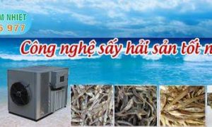 CÔNG NGHỆ SẤY KHÔ THỦY HẢI SẢN SẠCH