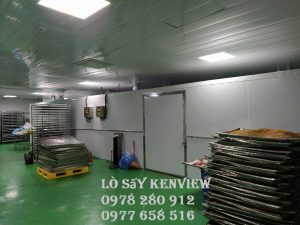 Lò sấy hải sản Kenview Ms1000