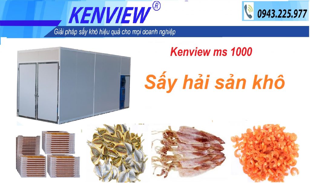 kenview ms 1000