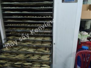 Máy sấy hải sản Kenview MS100- sấy 150-200kg / 1 mẻ